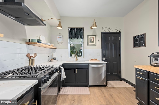 kitchen with dark cabinets, a sink, light wood-style floors, stainless steel appliances, and range hood