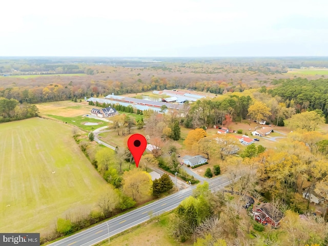 26039 Hidden Acres Ln, Millsboro, DE 19966 - drone / aerial view with a wooded view