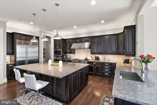kitchen featuring under cabinet range hood, dark wood-type flooring, a sink, and light stone counters