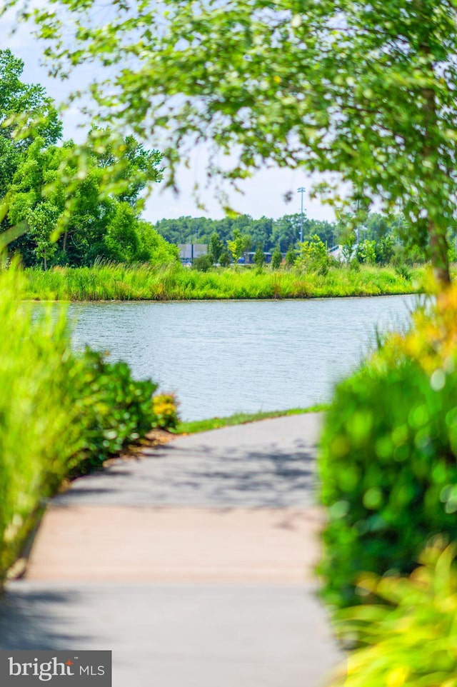 property view of water