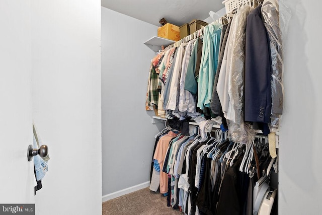 walk in closet featuring carpet flooring
