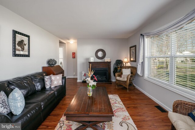129 Prince Georges Dr, Dagsboro, DE 19939 - living room with baseboards, wood finished floors, visible vents, and a fireplace