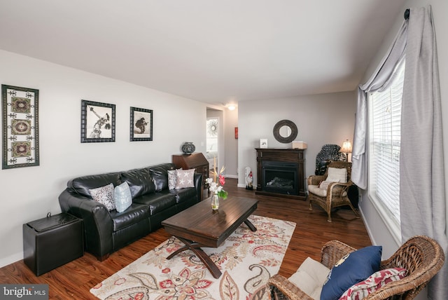 129 Prince Georges Dr, Dagsboro, DE 19939 - living area featuring a fireplace, wood finished floors, and baseboards
