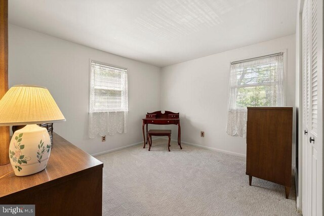 living area with carpet floors, baseboards, and a wealth of natural light