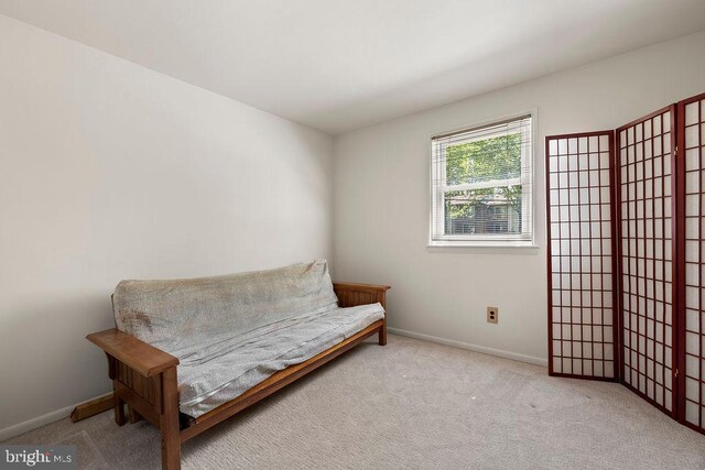 living area featuring baseboards and carpet