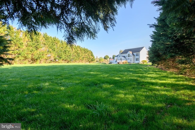 113 Anna Ct, Middletown, DE 19709 - view of yard