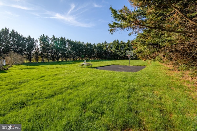 113 Anna Ct, Middletown, DE 19709 - view of yard with community basketball court