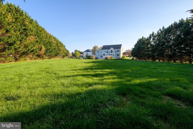 113 Anna Ct, Middletown, DE 19709 - view of yard