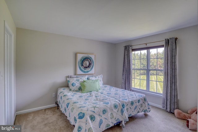 113 Anna Ct, Middletown, DE 19709 - carpeted bedroom with baseboards