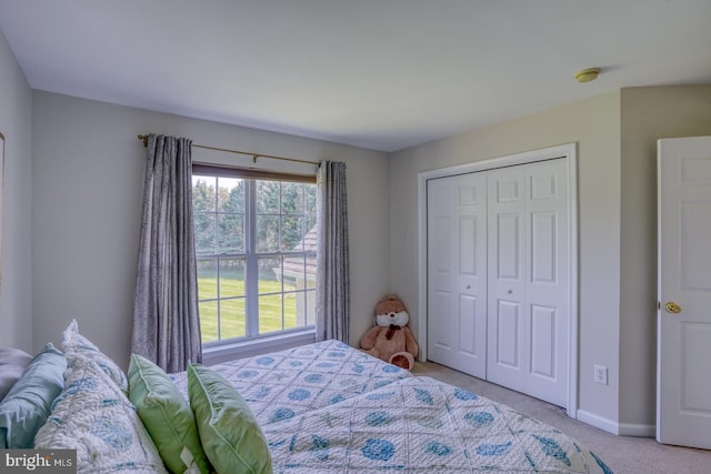 113 Anna Ct, Middletown, DE 19709 - bedroom featuring light colored carpet, baseboards, and a closet