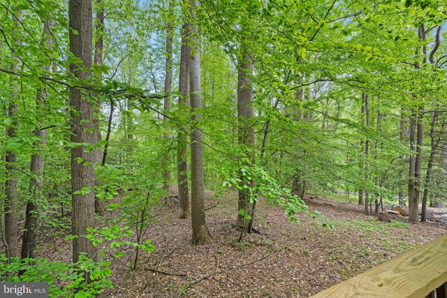 view of nature with a view of trees