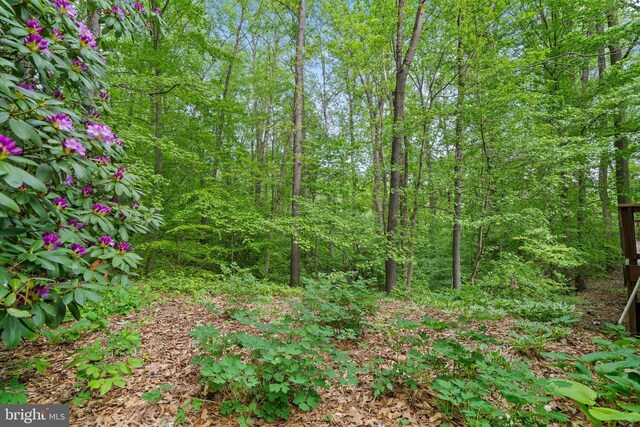 view of nature