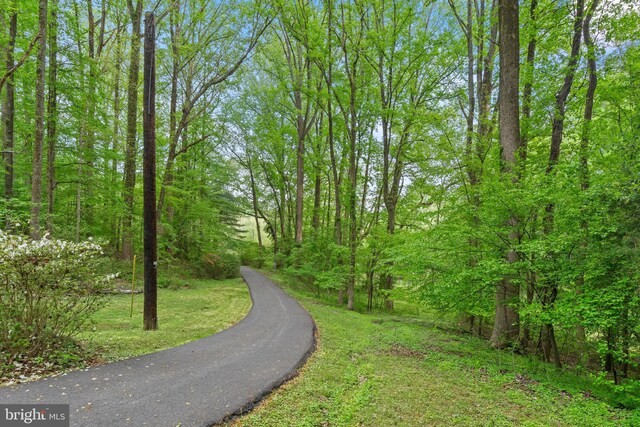 view of property's community featuring a lawn and a wooded view