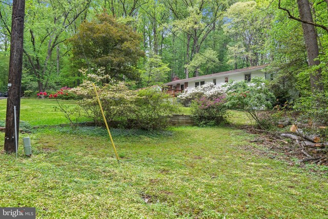 view of yard