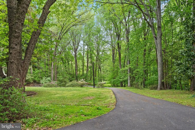 view of property's community with a lawn, driveway, and a wooded view