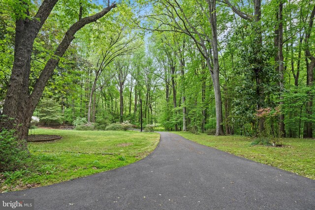 view of road with a view of trees