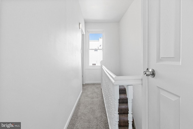 corridor with baseboards and carpet