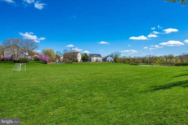 1806 Monocacy View Cir Unit 41A, Frederick, MD 21701 - view of yard