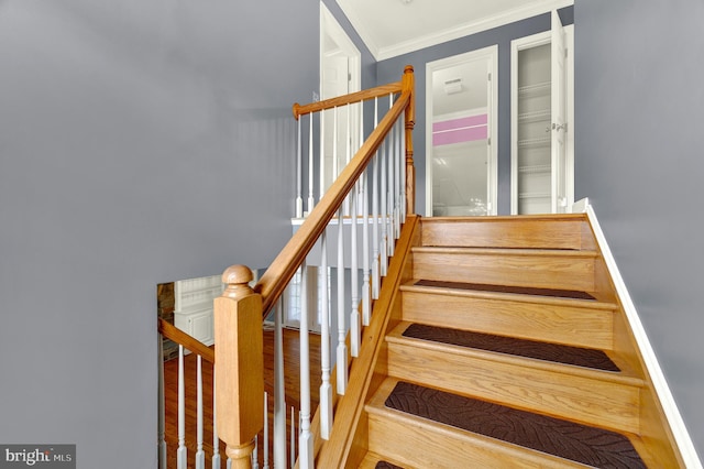 stairway with wood finished floors and ornamental molding