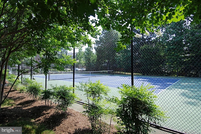 4129 Fountainside Ln Unit 202, Fairfax, VA 22030 - view of tennis court with fence