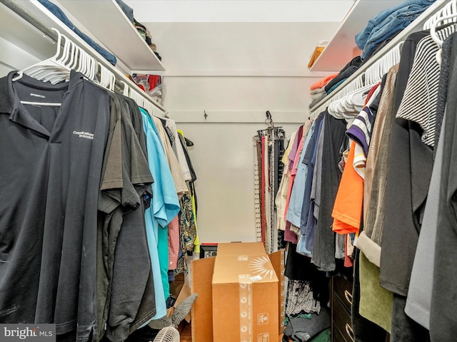 view of walk in closet