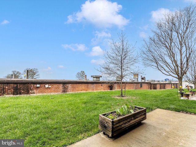 view of yard featuring a patio area