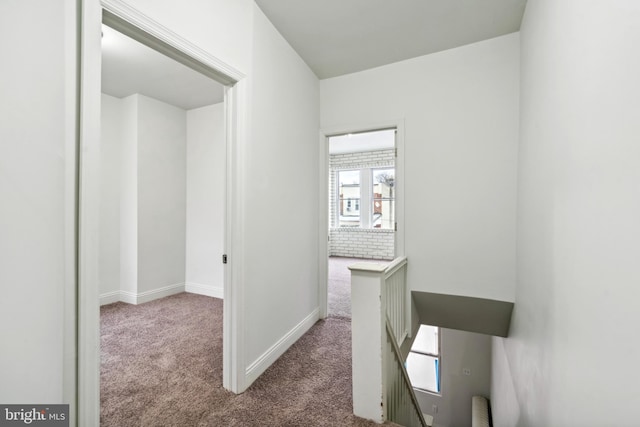 4914 N Smedley St, Philadelphia, PA 19141 - hall featuring an upstairs landing, baseboards, and carpet