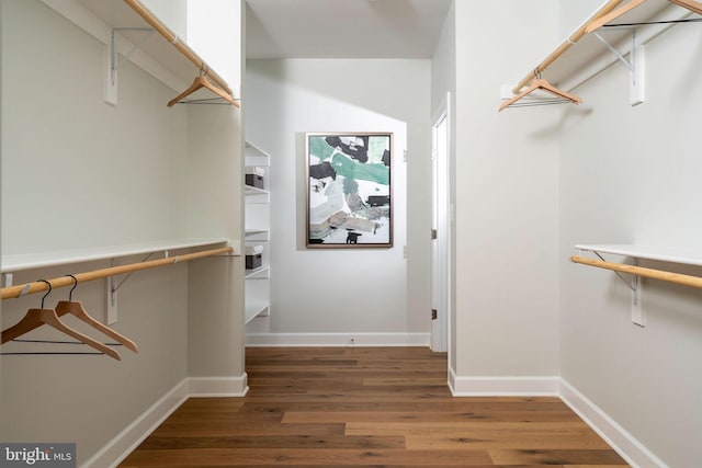 spacious closet featuring wood finished floors