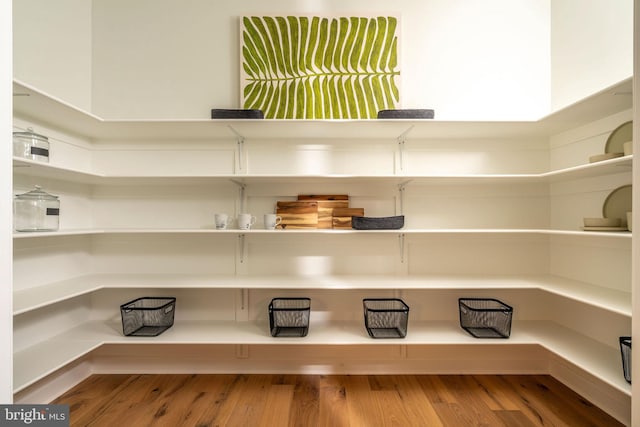 view of pantry