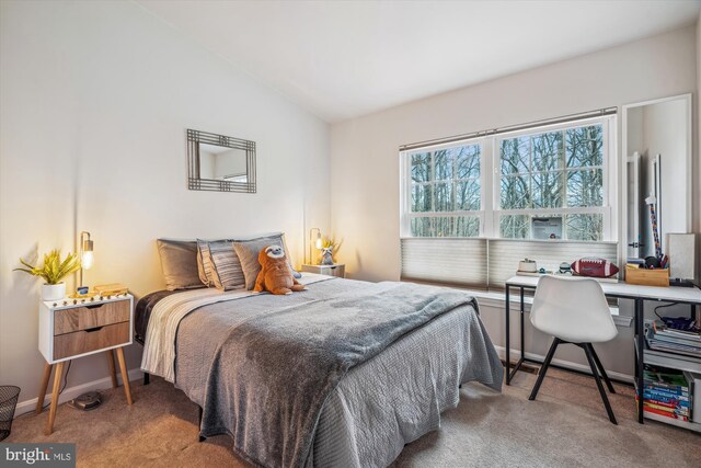 3 Casino Ct, Silver Spring, MD 20906 - bedroom with carpet flooring, baseboards, and vaulted ceiling