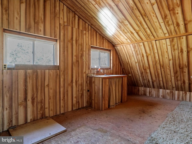 bonus room with lofted ceiling