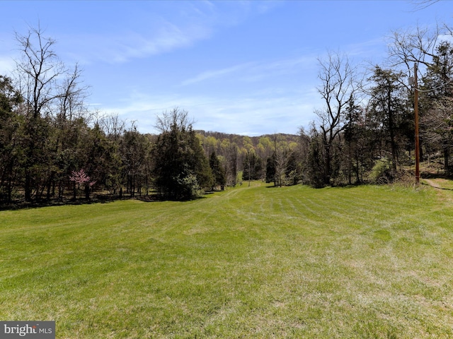 view of yard with a wooded view