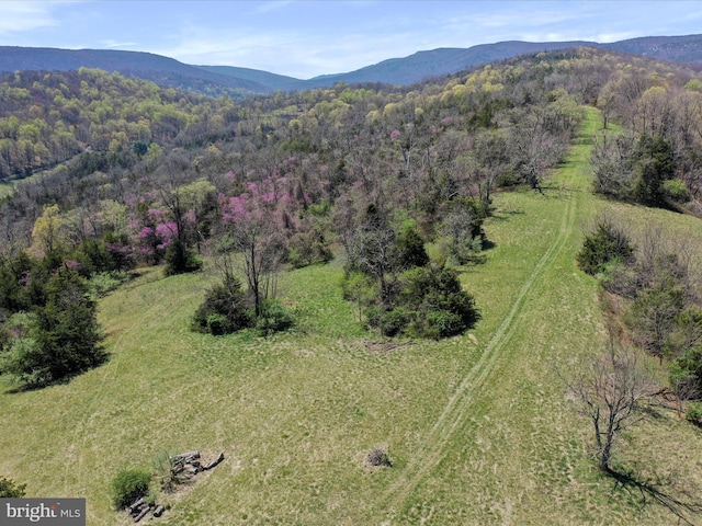 bird's eye view with a view of trees and a mountain view