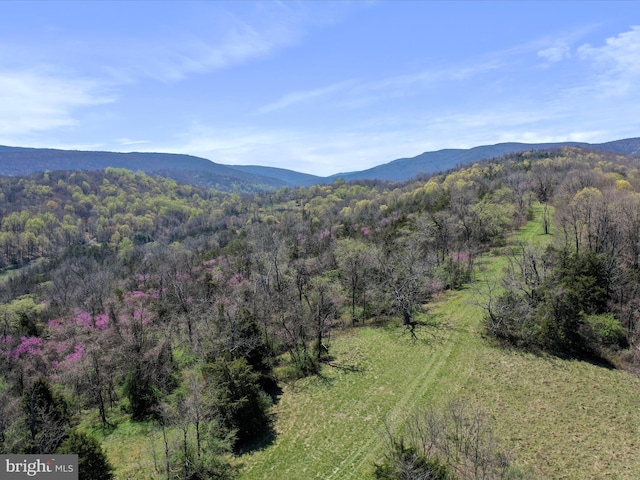view of mountain feature with a view of trees