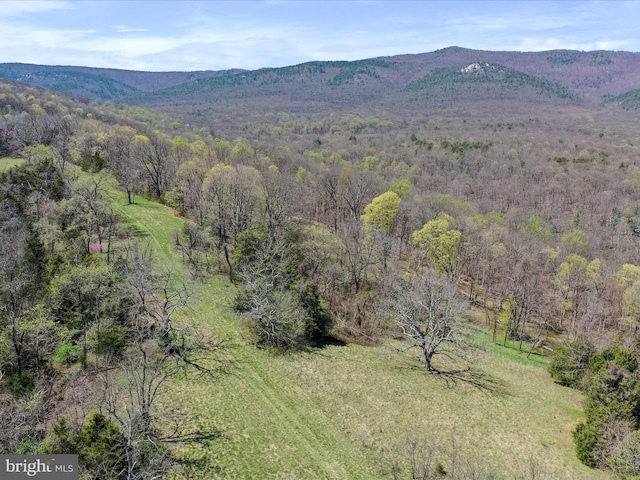 bird's eye view featuring a forest view and a mountain view