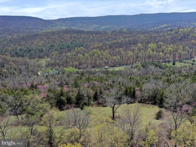 birds eye view of property with a wooded view and a mountain view