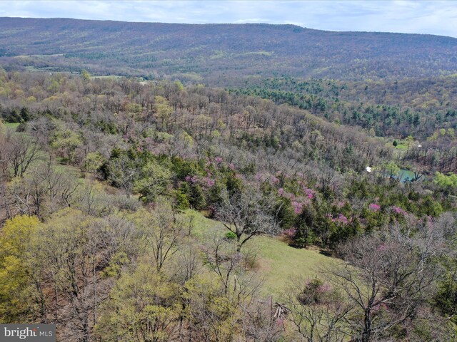 birds eye view of property with a forest view and a mountain view