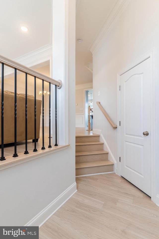 15332 Ballerina Loop, Woodbridge, VA 22193 - staircase with ornamental molding, wood finished floors, and baseboards