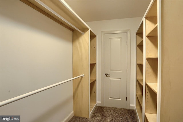 121 Rich Valley Rd, Mechanicsburg, PA 17050 - walk in closet with carpet