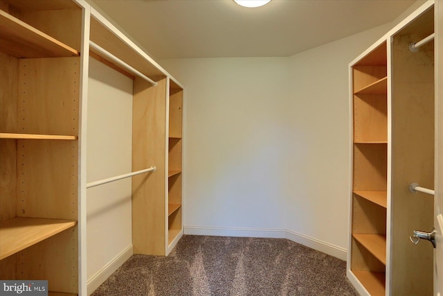 121 Rich Valley Rd, Mechanicsburg, PA 17050 - spacious closet with carpet