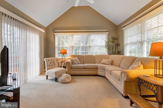 carpeted living area with high vaulted ceiling, a ceiling fan, and a healthy amount of sunlight