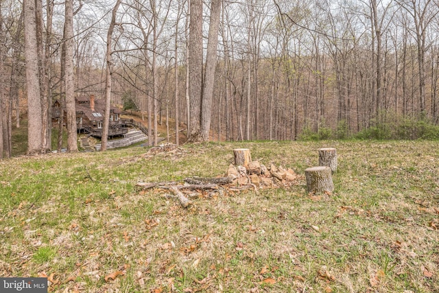 38528 Lime Kiln Rd, Middleburg, VA 20117 - view of yard featuring a wooded view