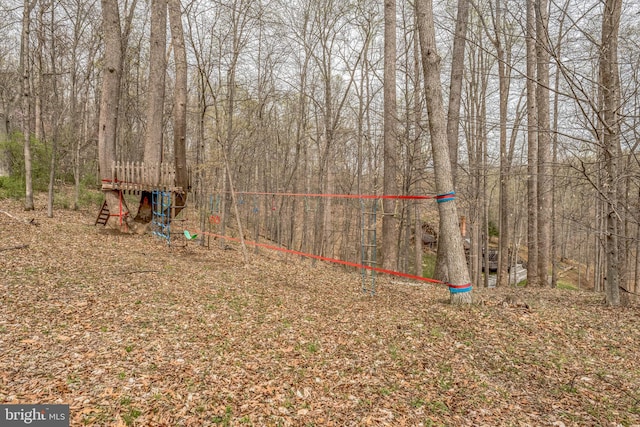 38528 Lime Kiln Rd, Middleburg, VA 20117 - view of yard