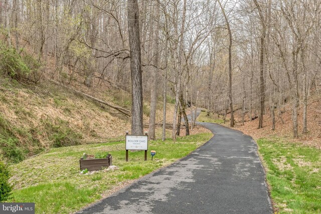 38528 Lime Kiln Rd, Middleburg, VA 20117 - view of home's community with driveway