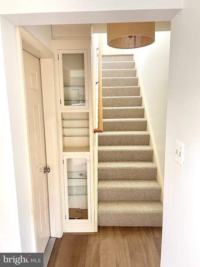 staircase with wood finished floors