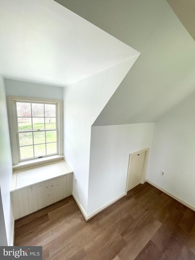 additional living space with wood finished floors, baseboards, and lofted ceiling