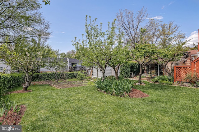 view of yard