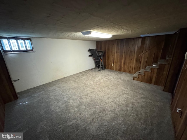 basement featuring wood walls and carpet flooring