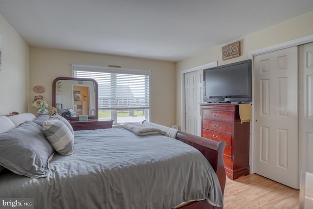 103 N Spinnaker Ln, Milton, DE 19966 - bedroom with multiple closets and light wood finished floors