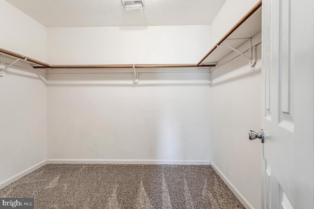 walk in closet featuring carpet flooring